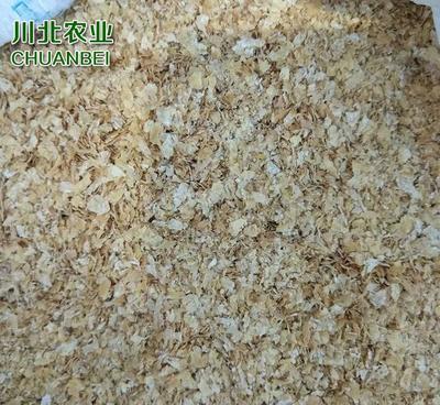 河北低价销售 小麦麸皮 大片麦麸 菌类原料麸皮 饲料添加麸皮